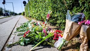 Nu udtaler politiet sig om ulykken: Lastbilchauffør sigtet