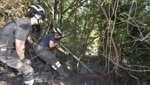Incendio a Collalto, fuoco nei terreni Giustiniani