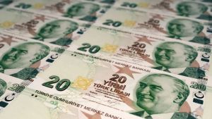 Türk Lirası İtibar Mimarisi (TLİM)