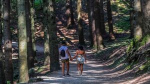 Il caldo cambia il mercato immobiliare in Toscana, più richieste per case fresche e in collina