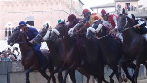 Palio dell’Assunta, a Siena il giorno della verità. Strategie, cuore e fortuna