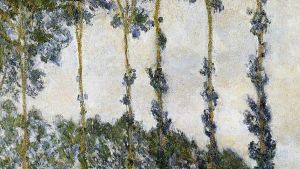 Verdi incanti. Elogio sentimentale degli alberi