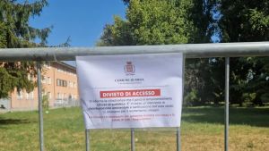 Morsa al parco di Mira da un ragno violino: è scattata la disinfestazione