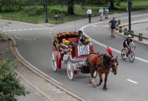 Readers sound off on accommodating carriages, Little League and insurance costs