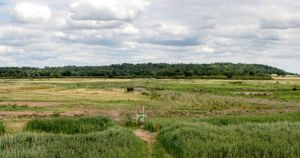 Norfolk coastal trail named among UK's most beautiful summer walks