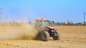 Raccolti falcidiati dalla siccità: scatta la conta dei danni