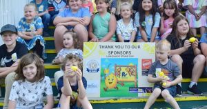 When life gives you lemons: ‘Lemonaders’ ready to squeeze out donations during Lemonade Stand Day