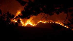 Incendi nella notte, l’Amariana e l’Amarianute avvolte dalle fiamme: le foto dei lettori