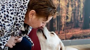 Scoprì il tumore grazie al fiuto di Joy, la labrador di Barbara vince il Premio Fedeltà 2026