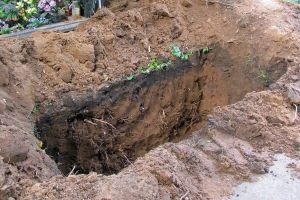 В Киеве ночью тайно перезахоронили останки Коновальца: эксперт рассказал, зачем Зеленскому нацистские «герои»