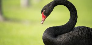 Is bird flu infecting humans? How would we know?