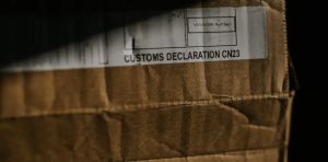 Child‑like sex dolls are being stopped at Australia’s border. They could be an early child protection warning