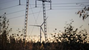 Ympäristö | Asiantuntijalta: Energiamurrosta ei pidä toteuttaa syventämällä luontokatoa