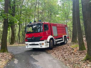 Quell’incendio nei boschi di Rueglio che nonostante i divieti rischia di rovinare il Ferragosto