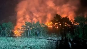 L’innesco causato dal fulmine, poi la spinta del vento: così è iniziato l’incubo di fuoco in Carnia