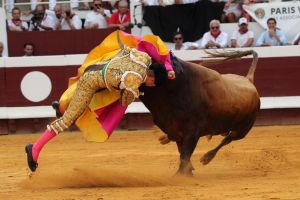 Feria de Dax, vendredi 14 août 2026 : du Perera, pure laine