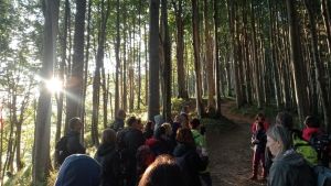 La magia delle Foreste Casentinesi, dove l’ambiente abbraccia la spiritualità