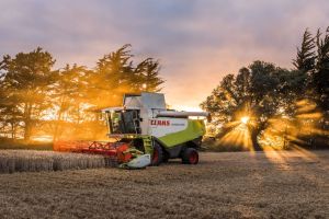 Ireland needs an agriculture policy. Instead it has an agri-food industry