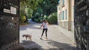 Il parco di Villa Engelmann a Trieste, un’oasi verde misconosciuta