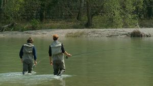 Poca acqua e troppo calda nei laghi del Cadore: «La fauna ittica è sempre più a rischio»