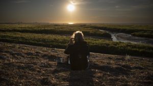 Tijdens de eclips zochten vogels eerder hun nest op, blijkt uit onderzoek met luisterkastjes