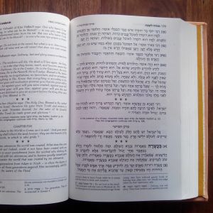 ArtScroll at 50: A Blessing, a Bias, and a Revolution