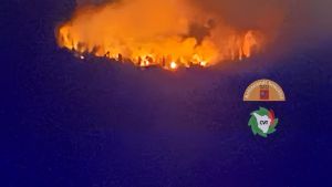 Pauroso incendio sul monte Alto. Dieci squadre al lavoro tutta la notte