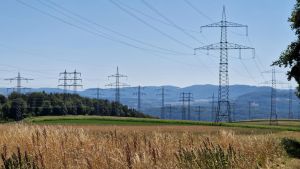 Zukunftsort für die Energiewende: Warum Gurtweil bei der Stromversorgung eine wichtige Rolle spielt