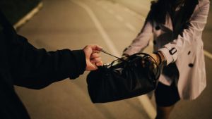 I rapinatori della signora Edda hanno 10 e 13 anni: il colpo a Pesaro, in trasferta da Bologna