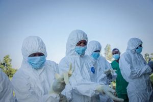 RDC : l’épidémie d’Ebola devient la plus meurtrière de l’histoire du pays avec « un mort toutes les trente minutes »