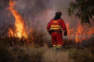 Grèce, Belgique, Espagne… Acculée par la chaleur et la sécheresse, l’Europe ravagée par les incendies