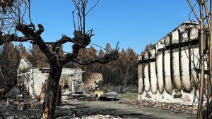 La difícil vuelta a la normalidad en Gironda tras un verano de megaincendios: 