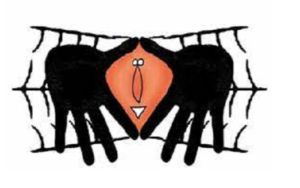 Araña feminista | Yurbin Aguilar se nos fue