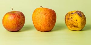 Contre le gaspillage alimentaire, une réduction suffit‑elle ?