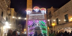 Sagra del fungo cardoncello di Ruvo di Puglia, nuovo regolamento. Come partecipare