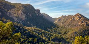 Un algoritmo para restaurar ecosistemas y conectar paisajes mediante corredores verdes