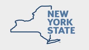 Users Report Problems With New York State's Official Website as Monitors Show Site Mostly Operational