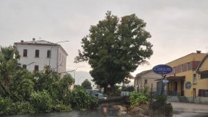 Bufera lampo dalla costa all’entroterra: vento, pioggia e alberi caduti nel Piceno