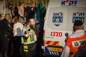 Child, 7, stabbed to death, another injured in Beit Shemesh; neighbor arrested