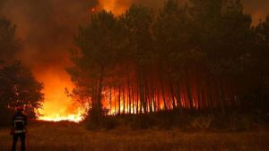 Gli incendi riportano alla luce la Seconda guerra mondiale. Esplodono i residuati bellici