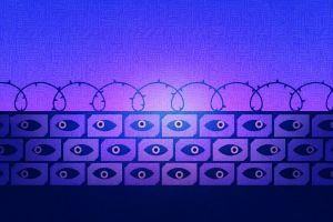Transparent citizens, opaque state