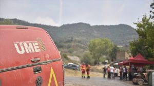 La rama en el precipicio