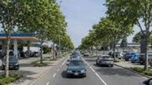 L’archistar ridisegna Pavia. Piazze e viali con 230mila alberi