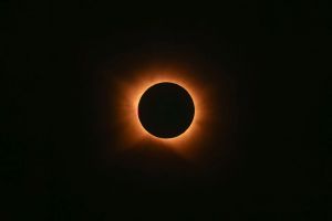 Sol negro
