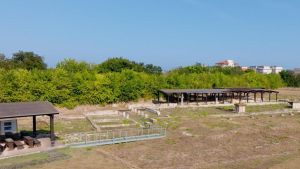 Alla scoperta dell’antica Potentia. Tour guidato con gli archeologi