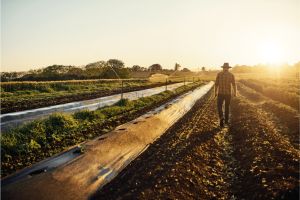 Australia’s escalating biosecurity crisis