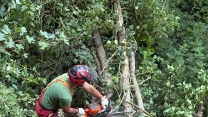 Sicurezza e cura dei fiumi: maxi manutenzione
