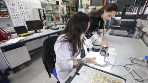 El pesar de los investigadores jóvenes que no se pudieron quedar en la Universidad de Oviedo por falta de apoyo: 