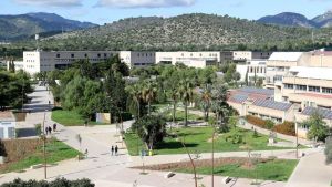 ¿Cabe una universidad en un ranking?