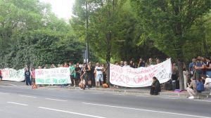 Ruspe nel polmone verde: “No al supermarket nel bosco”. E il centrosinistra si spacca